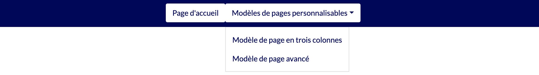 Modèle de site web n°1 : Menu de navigation déplié