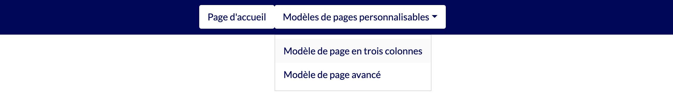 Modèle de site web n°1 : Menu de navigation déplié : Élement du sous-menu actif