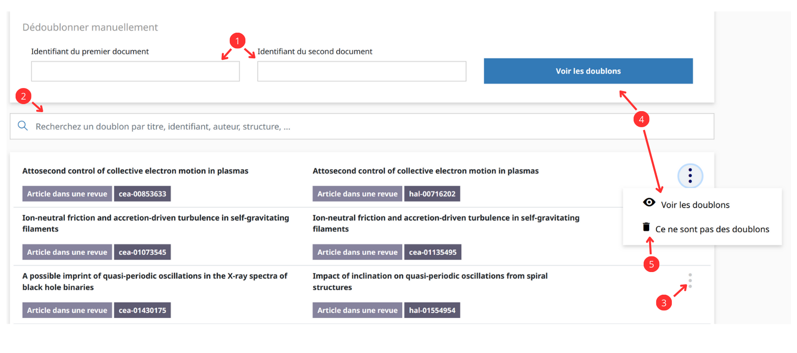 Interface de gestion des doublons