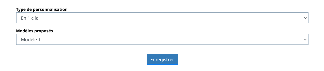 Personnalisation des sites : Administrer dans HAL/Site Web/Apparence : Modèles de feuille de styles